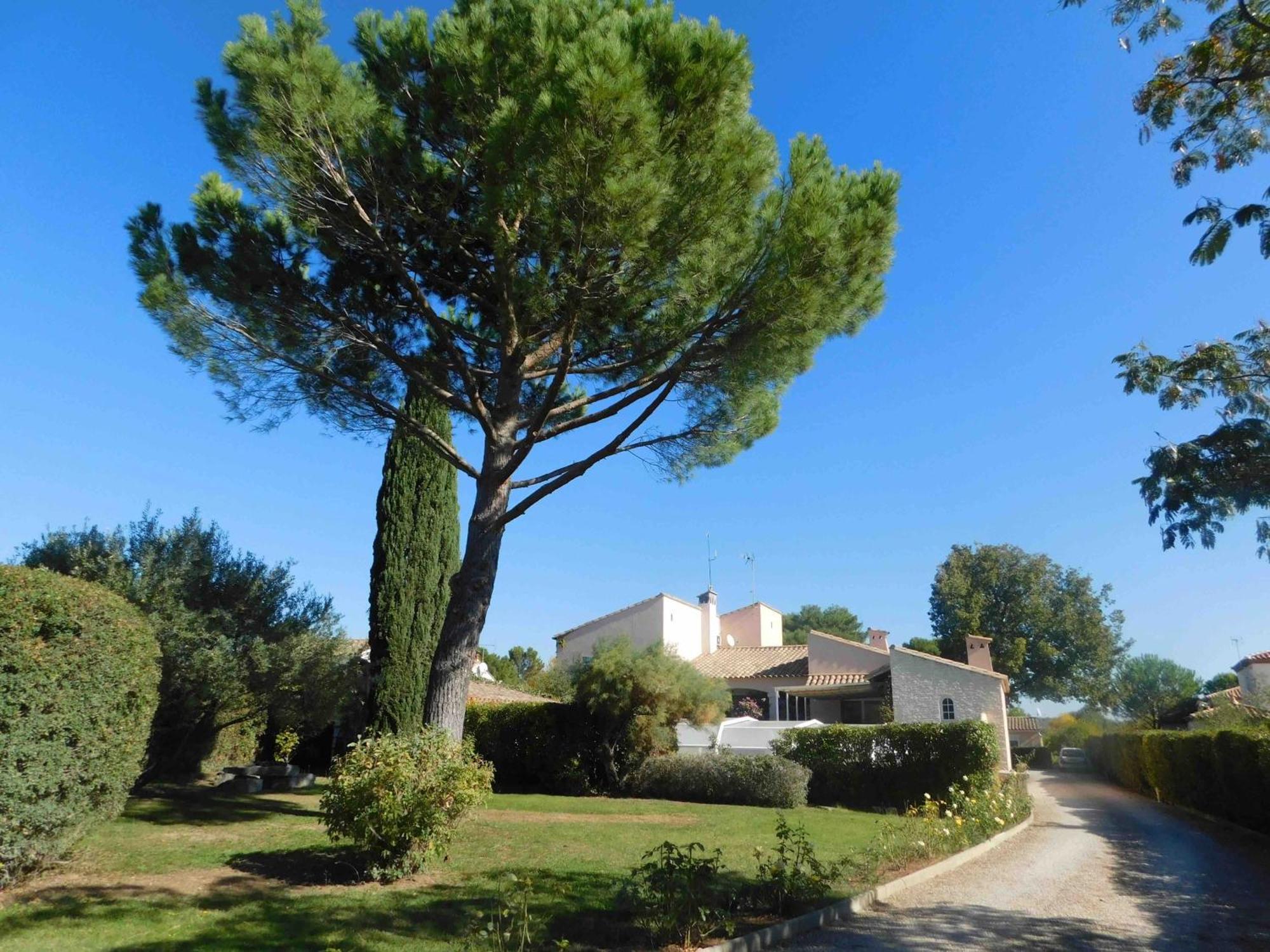 Les Bougainvillees De Camargue Villetelle المظهر الخارجي الصورة
