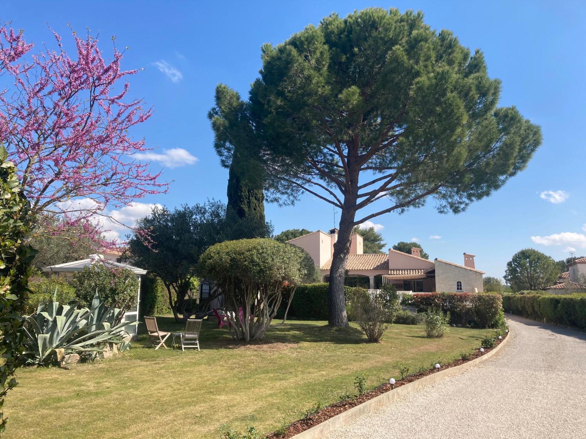 Les Bougainvillees De Camargue Villetelle المظهر الخارجي الصورة